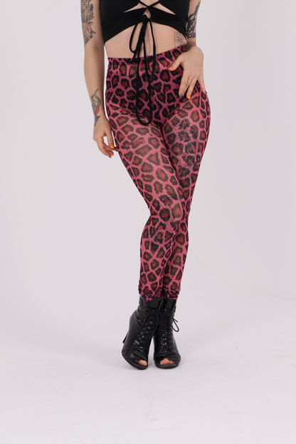 Pink Leopard Mesh Leggings